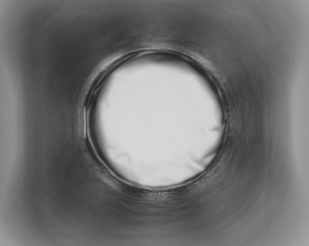 X0000112491223200909141157
