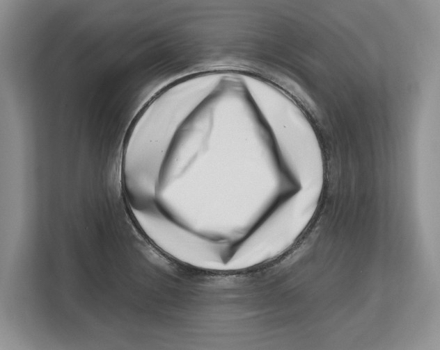 X0000112491228200909141157