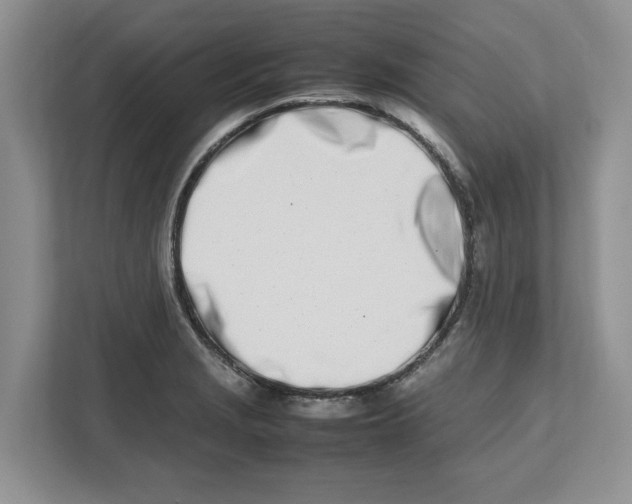 X0000112491229200909141157