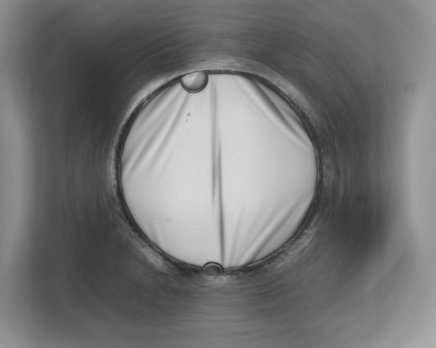 X0000112491230200909141157
