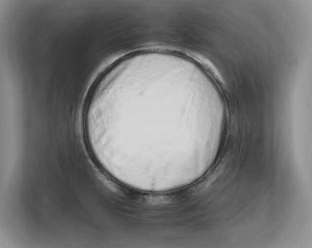 X0000112491231200909141157