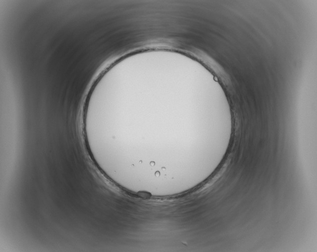 X0000112491240200909141157