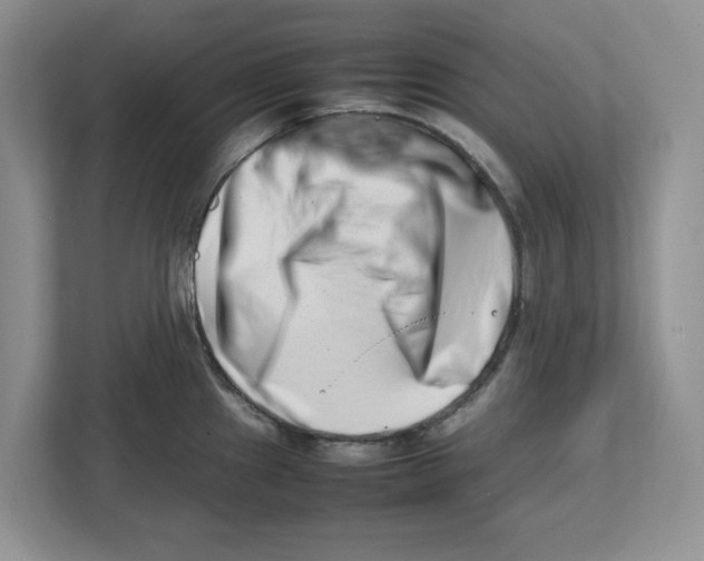 X0000112491241200909141157