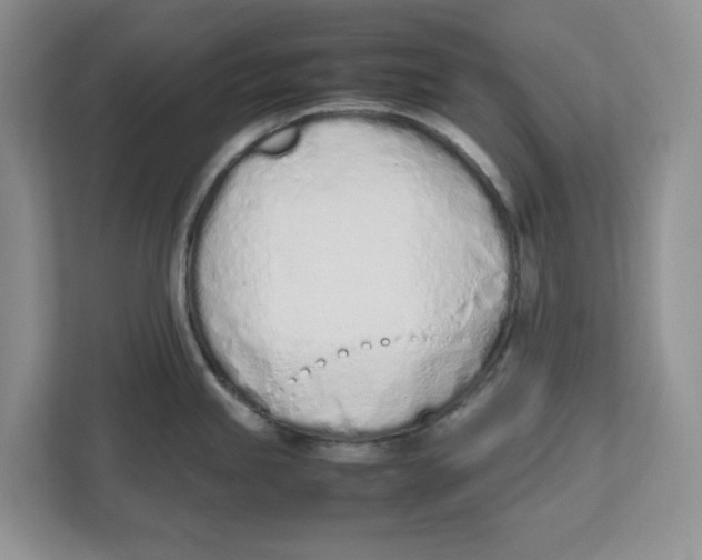 X0000112491245200909141157