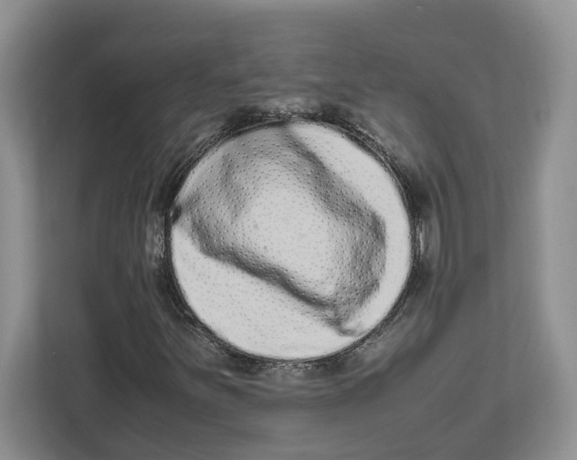 X0000112491251200909141157