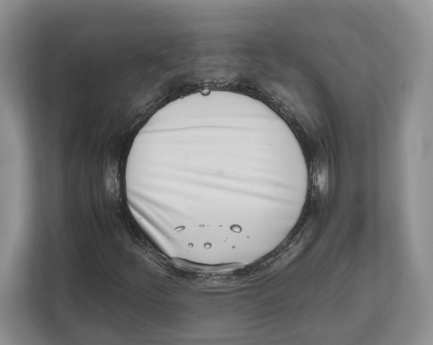 X0000112491252200909141157