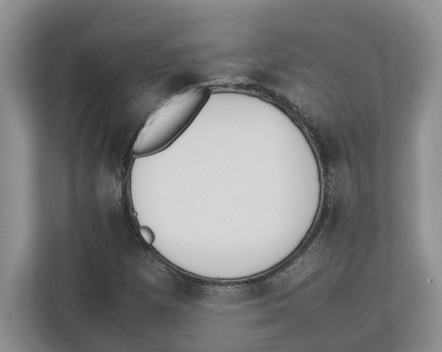 X0000112491257200909141156