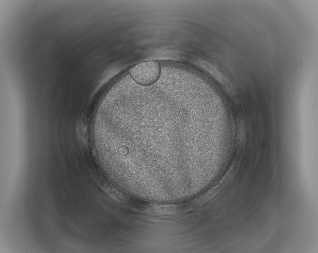 X0000112491258200909141156