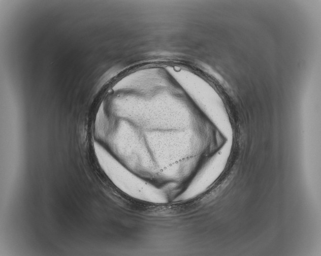 X0000112491259200909141156