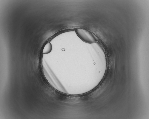 X0000112491261200909141156