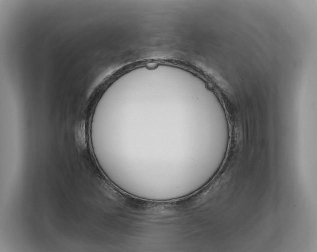 X0000112491262200909141156