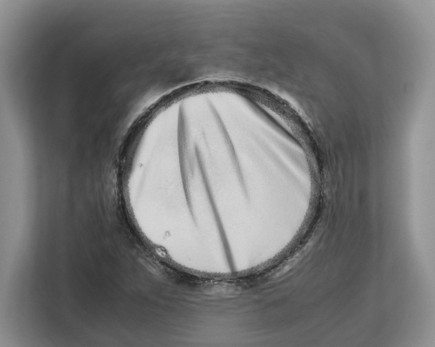 X0000112491263200909141156