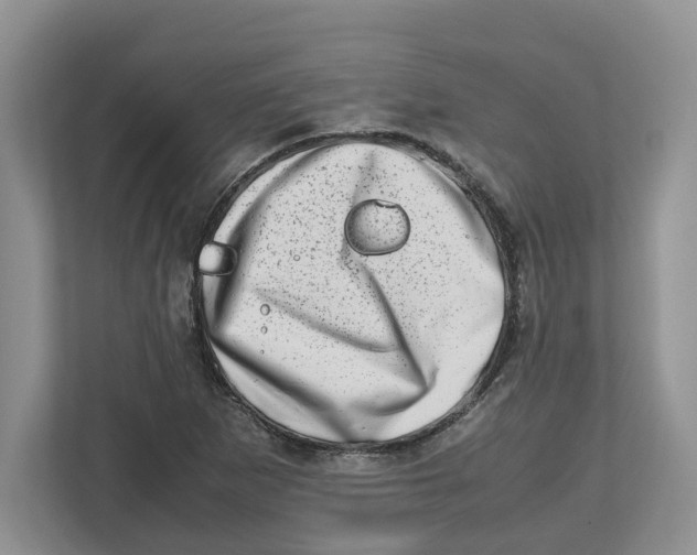X0000112491265200909141156