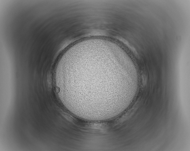 X0000112491266200909141156