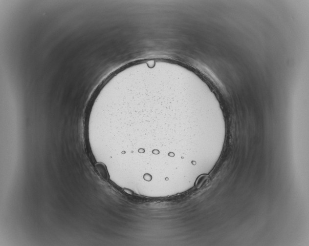 X0000112491268200909141156