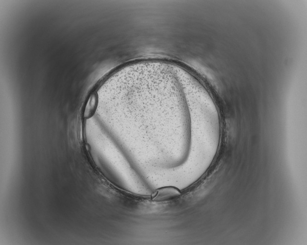 X0000112491269200909141156