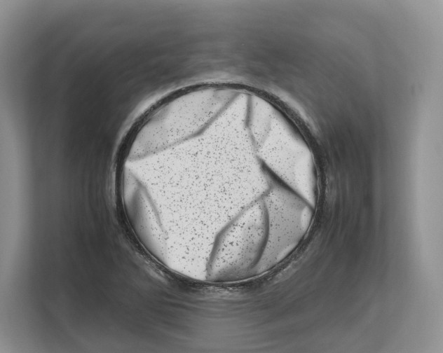 X0000112491270200909141156