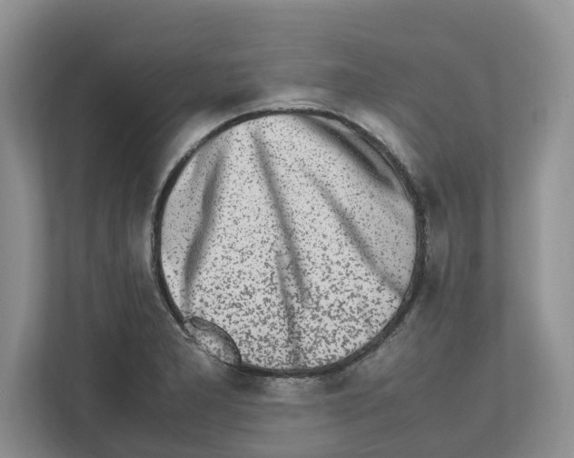 X0000112491277200909141156