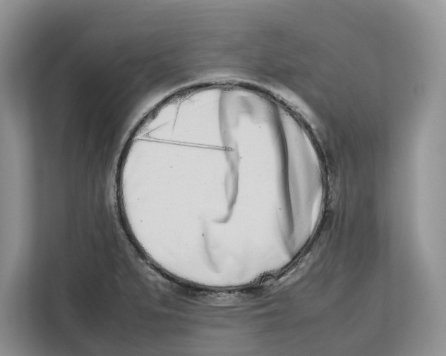X0000112491279200909141156