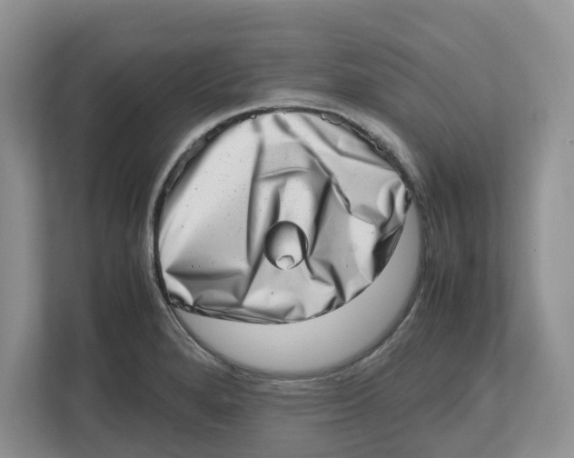 X0000112491280200909141156