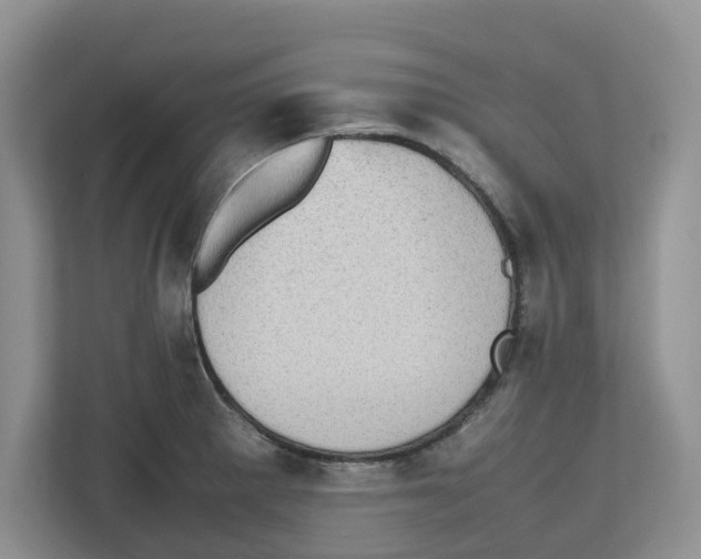 X0000112491281200909141156