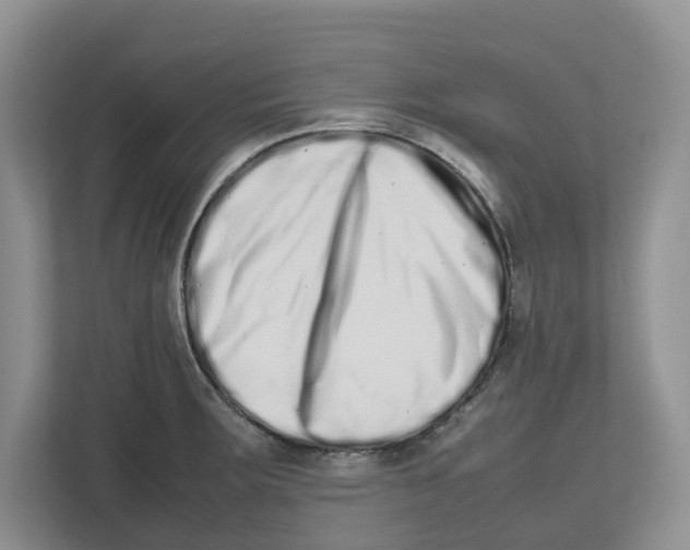 X0000112491283200909141156