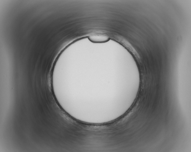 X0000112491284200909141156