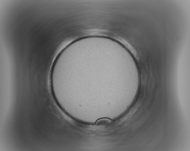 X0000112491285200909141156