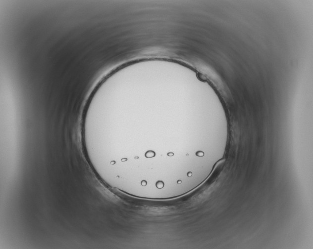 X0000112491288200909141156
