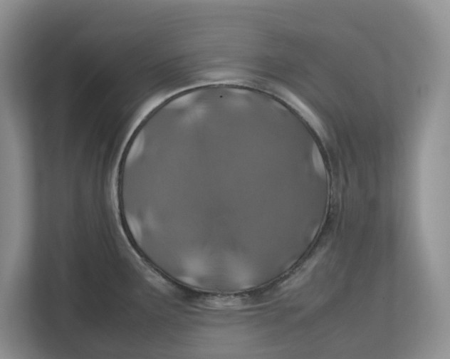 X0000112491291200909141156