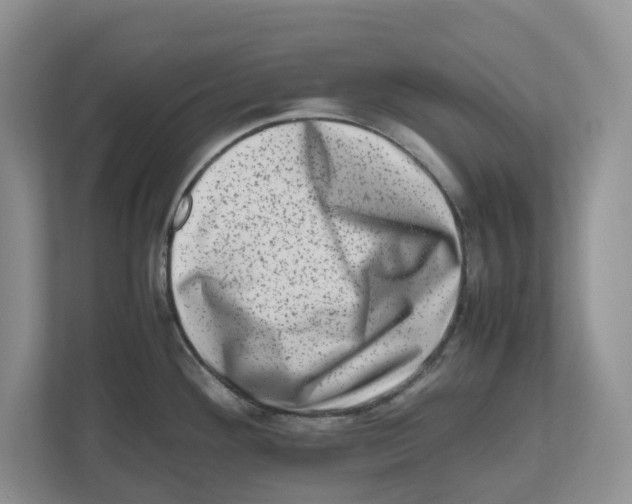 X0000112491292200909141156
