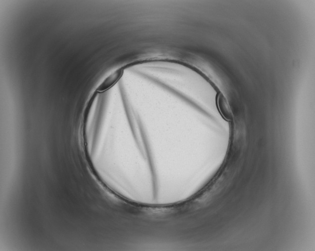 X0000112491293200909141156