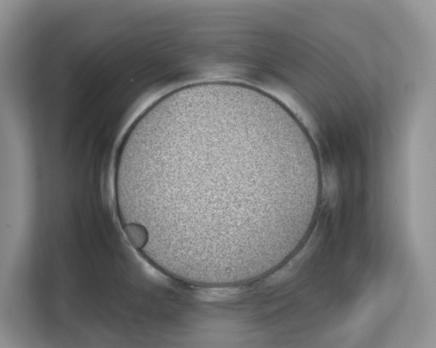 X0000112491294200909141156
