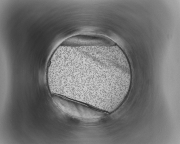 X0000112491296200909141156