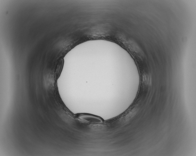 X0000112491300200909141155