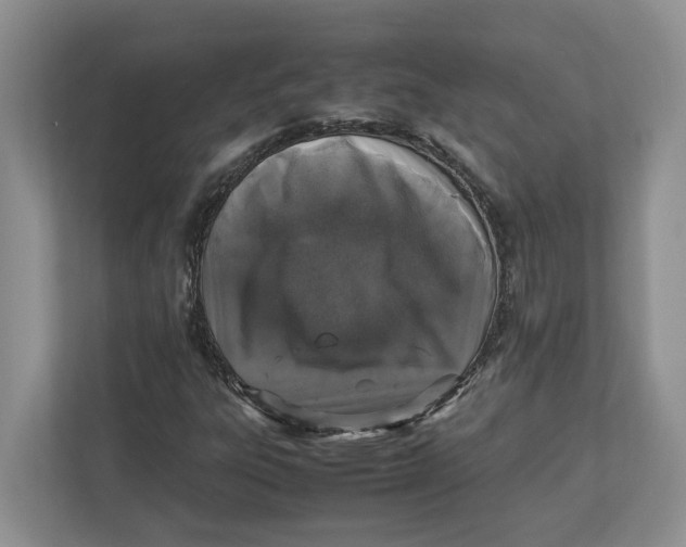 X0000112491303200909141155
