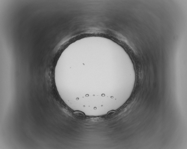 X0000112491304200909141155