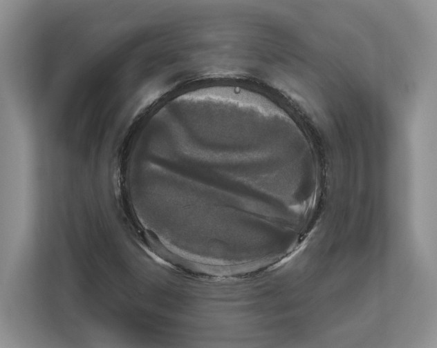 X0000112491306200909141155