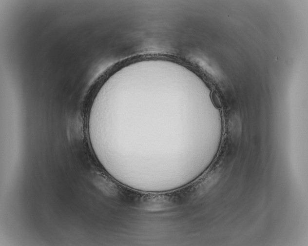 X0000112491310200909141156
