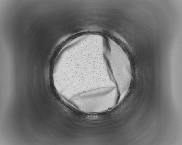 X0000112491315200909141156