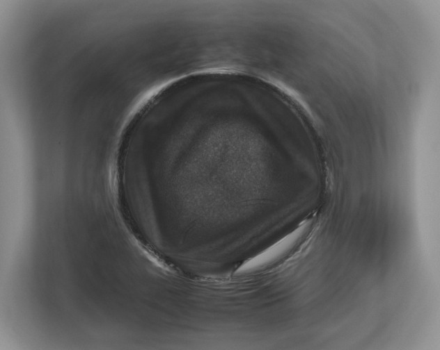 X0000112491319200909141156