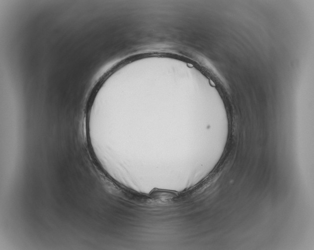 X0000112491320200909141156