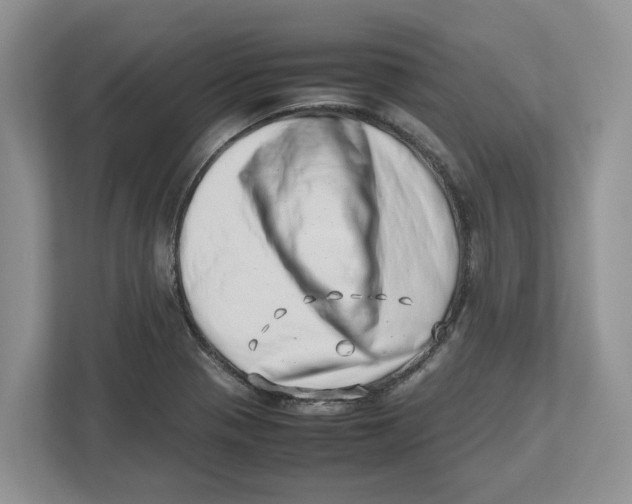 X0000112491321200909141156
