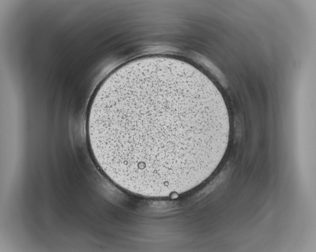X0000112491322200909141156
