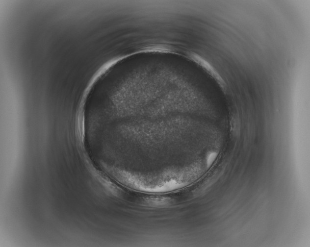 X0000112491323200909141156