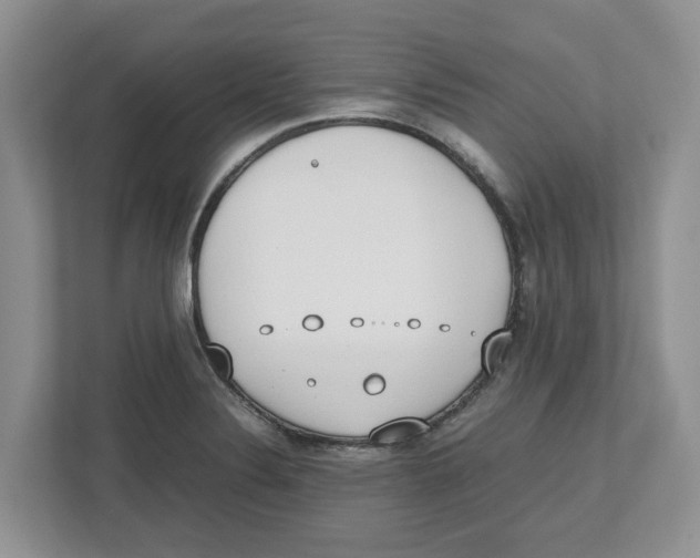 X0000112491324200909141156