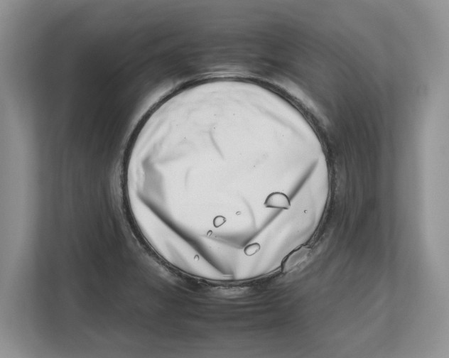 X0000112491325200909141156