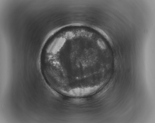 X0000112491327200909141156