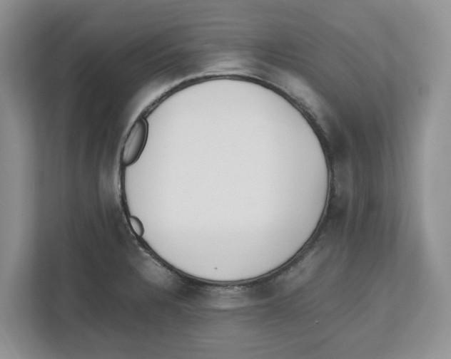 X0000112491328200909141156