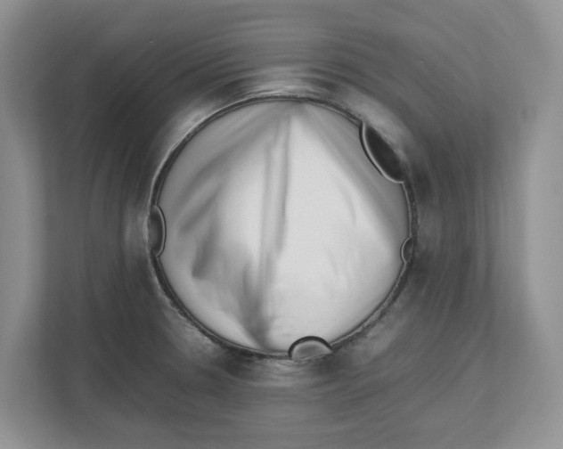 X0000112491330200909141156